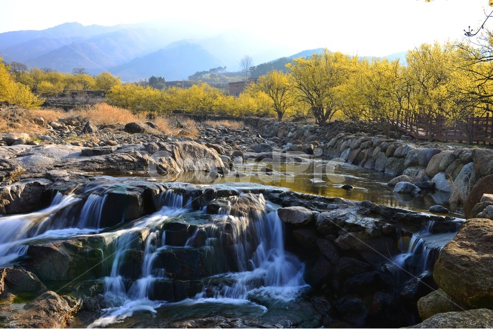 전남,구례,산동,산수유마을,산동산수유마을,산수유,산수유꽃,반영,mountainrange,산맥,mountain,산,nature,자연,water,물,outdoors,옥외,waterfall,폭포,자연,풍경,nature,landscape
