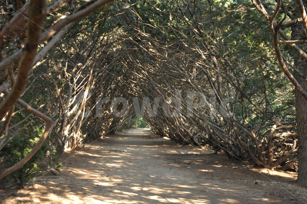 공원,여행,파주,벽초지,수목원,자연,풍경,nature,landscape,한국자연풍경,한국자연경관,korea nature landscape