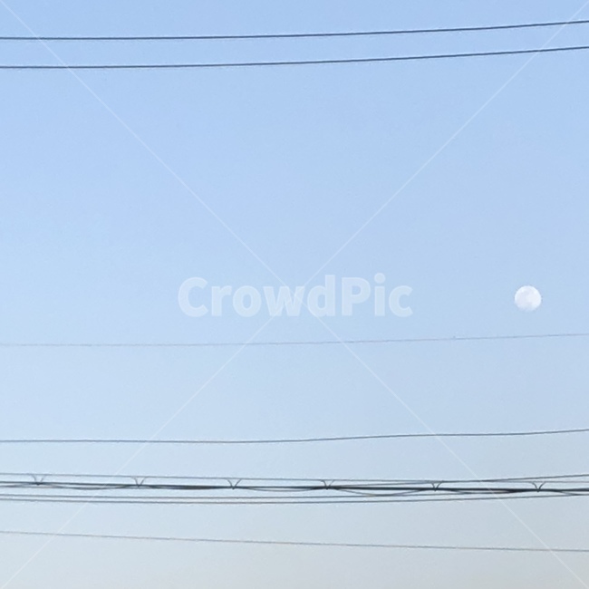 달,초저녁,moon,전깃줄,초저녁달