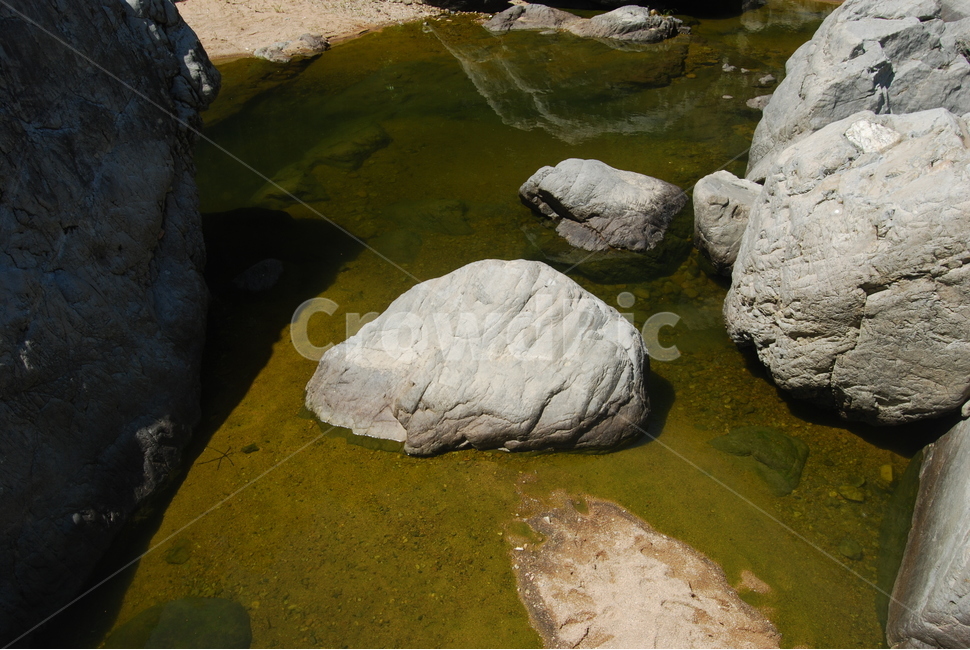 도장산,문경시,휴양림,탐방로,자연,자연,풍경,nature,landscape,plant,식물,algae,조류