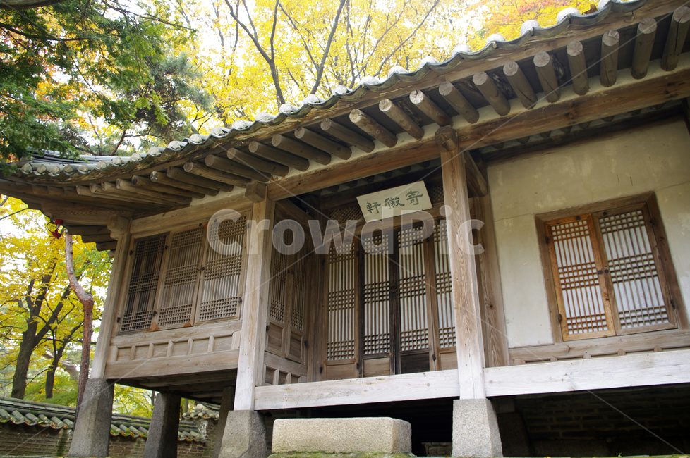 창덕궁,창덕궁후원,의두합,고궁,건축,전통건축,traditional,전통,가을,fall,나무,식물,plant,단풍,한국전통,한국문화,korean traditional,korean culture,건축물,건물외관,exterior,building,structure,architecture,construction