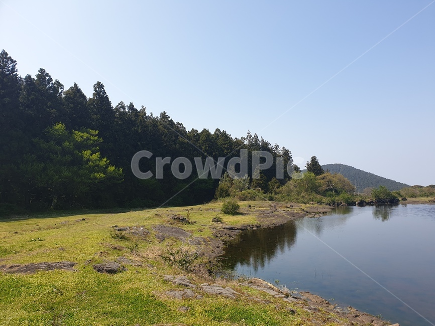 nature,자연,fir,전나무,abies,아비,plant,식물,tree,나무,outdoors,옥외,water,물,자연,풍경,nature,landscape