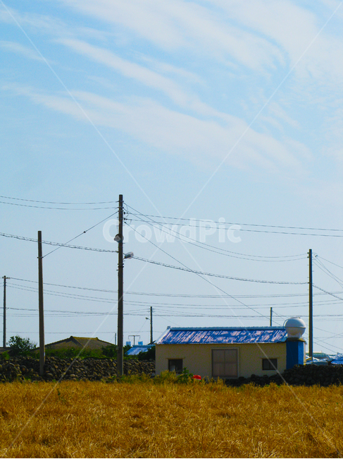 마을,농촌,어촌,들판,집,하나,파랑,벼,농가,town,farmvillage,fishingvillage,feild,house,one,blue,ricepaddy,제주도,jeju,jeju island,시골,마을,풍경,landscape,country,rural,town,cable,케이블