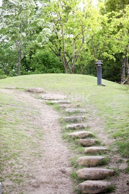 도시자연,돌계단,도시공원,풍경,언덕,공원,자연