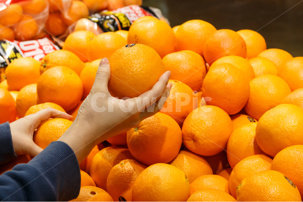 오렌지,과일,과일가게,여성의손,장보기,장보는손,마트,대형마트,시장,신선한,손가락,선별,상큼한,비타민,영양,디저트,선택,고르기,손,신체,시장,마트,마켓,market,mart,market place,사람,인물,인간,human,person,신체일부,몸,body,음식,식재료,요리,food,cook,meal,dishes,food reserves,과일,열매,fruit