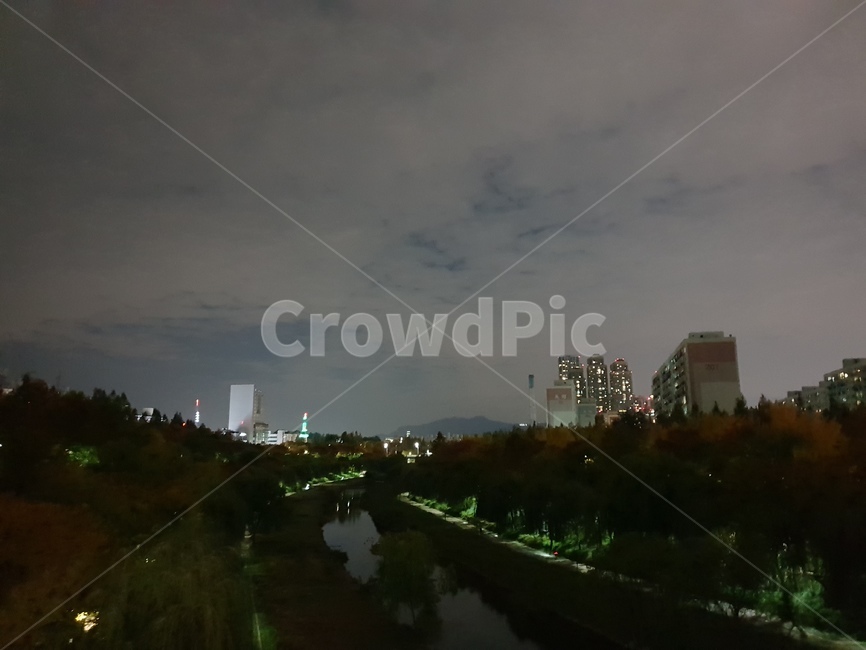 강,양재천,저녁,밤,산책로,가로수등,산책,야경,밤,풍경,nightscape,night,landscape,도시,city,한국도시풍경,한국도시경관,korea cityscape,flare,플레어,light,빛,ditch,도랑
