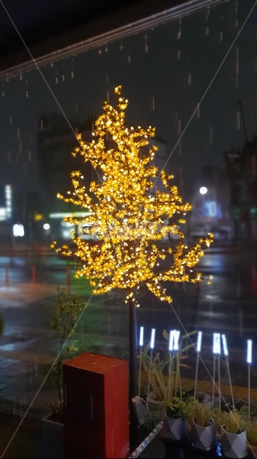 비오는밤,트리,전구나무,나무,tree