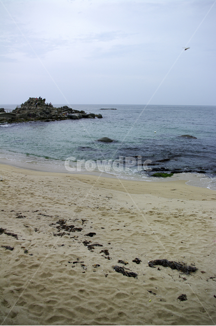 바다,해안,해변,풍경,모래사장,자연,풍경,nature,landscape,해변,바다,beach,sea,water,물,shoreline,해안선