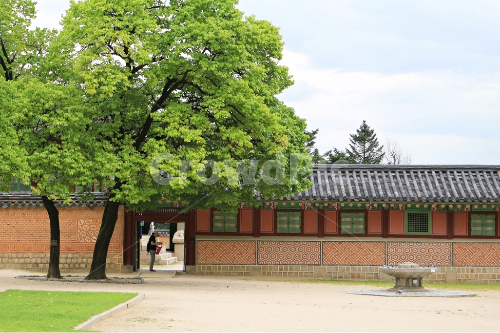 경복궁,궁,건축물,고궁,한국의미,전통,유산,지붕,기와,건축양식,조선,나무,traditional,풍경,색감,서울,광화문,랜드마크,landmark,landscape,palace,8월고궁,한국전통,한국문화,korean traditional,korean culture,랜드마크,landmark,tourist attraction,한국랜드마크,한국관광지,한국명소,korea landmark,korea tourist attraction