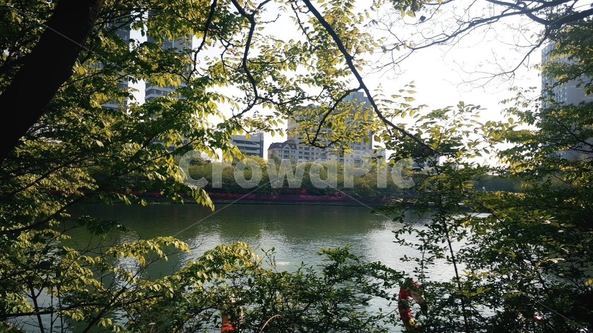 호수,나무,풍경,물,자연,자연,풍경,nature,landscape,water,outdoors,옥외