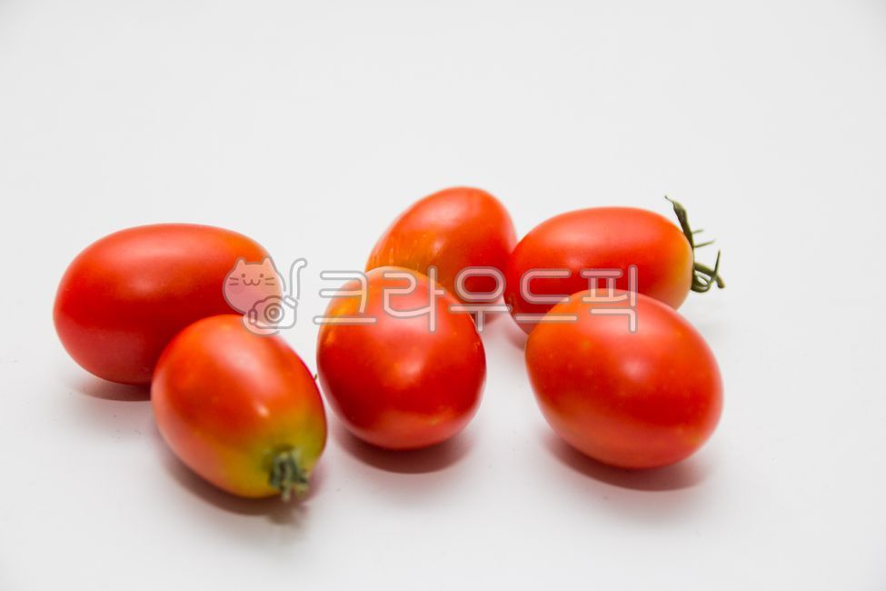tomato,토마토,채소,방울토마토,자연,nature,옥외,outdoors