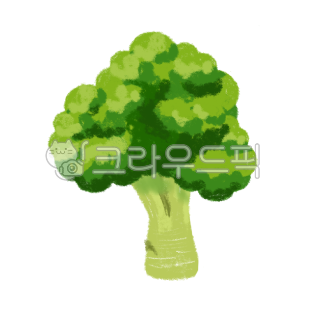 broccoli,broccoli picture,Broccoli illustration,Broccoli hand drawing