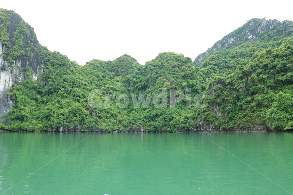 plant,식물,초목,outdoors,자연,nature,옥외,나무,자연,풍경,nature,landscape