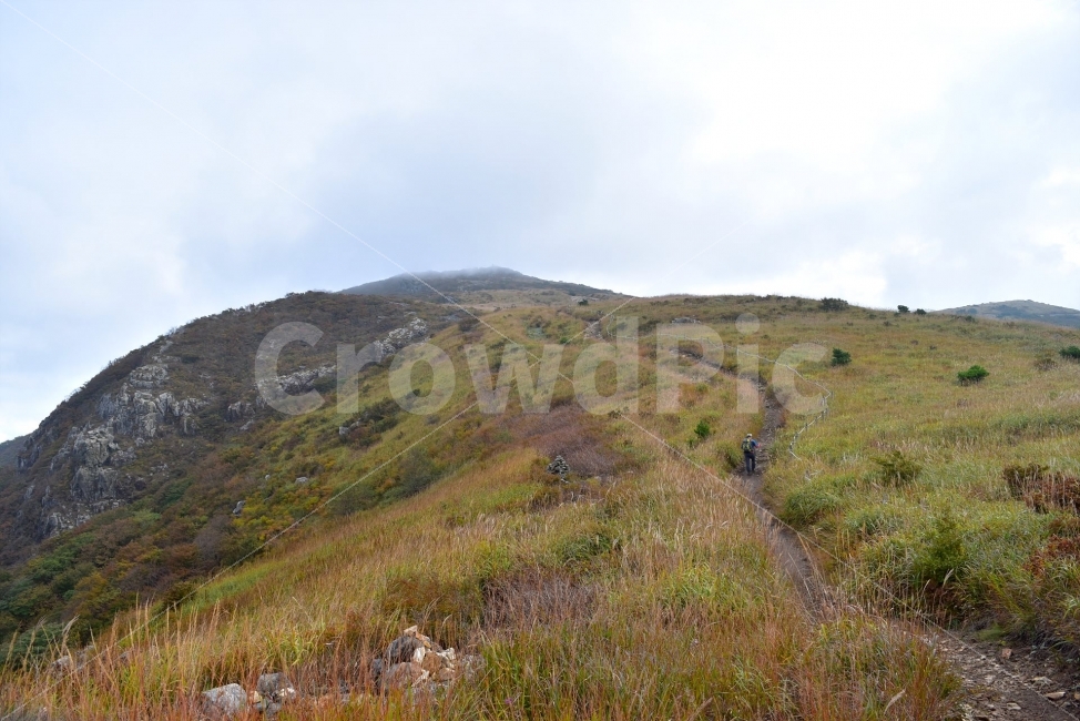 영축산,신불산,영남알프스가을,풍경,낙엽,명산,자연,비경,단풍나무,가을색,가을색채,가을풍경,운해,장관,구름,억새,영알,억새평전,mountain,Landscape,가을,계절,fall,autumn,season,자연,풍경,nature,landscape,한국자연풍경,한국자연경관,korea nature landscape,outdoors,옥외,slope,경사,hill,언덕