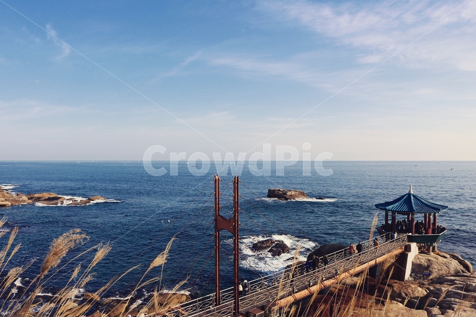 속초,영금정,동명항,바다,하늘,갈대,자연,풍경,nature,landscape,한국자연풍경,한국자연경관,korea nature landscape,promontory,곶