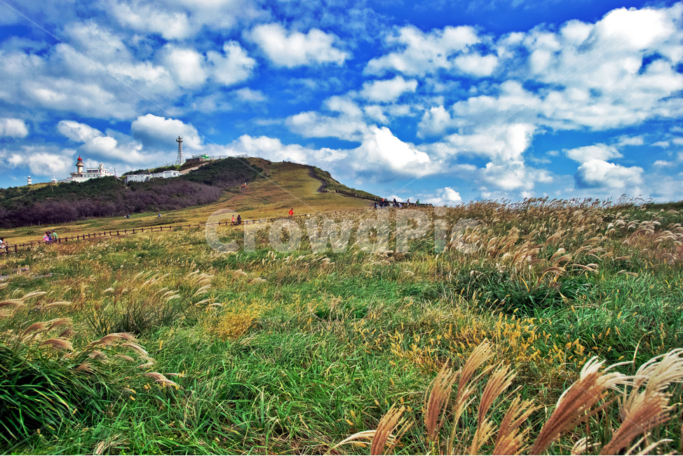 우도,우도봉,제주도,섬,초원,푸른하늘,새털구름,억새,계절,자연,풍경,nature,landscape,한국자연풍경,한국자연경관,korea nature landscape,제주도,jeju,jeju island,outdoors,옥외,field,들,grassland,목초지