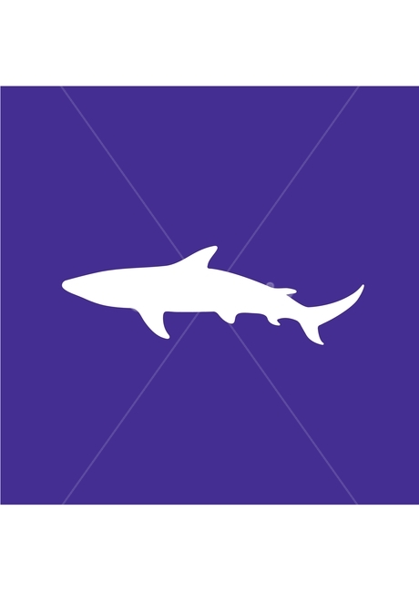 상어,shark,바다동물,바다,일러스트,그래픽디자인,illustration,상어이미지,상어일러스트,캐릭터일러스트,바다생물,동물그림,동물일러스트,animal,seaanimal,물고기,illust,상어일러서트,상어스티커,sharksticker,sticker,테두리일러스트,그래픽,일러스트레이션,graphic,illustration