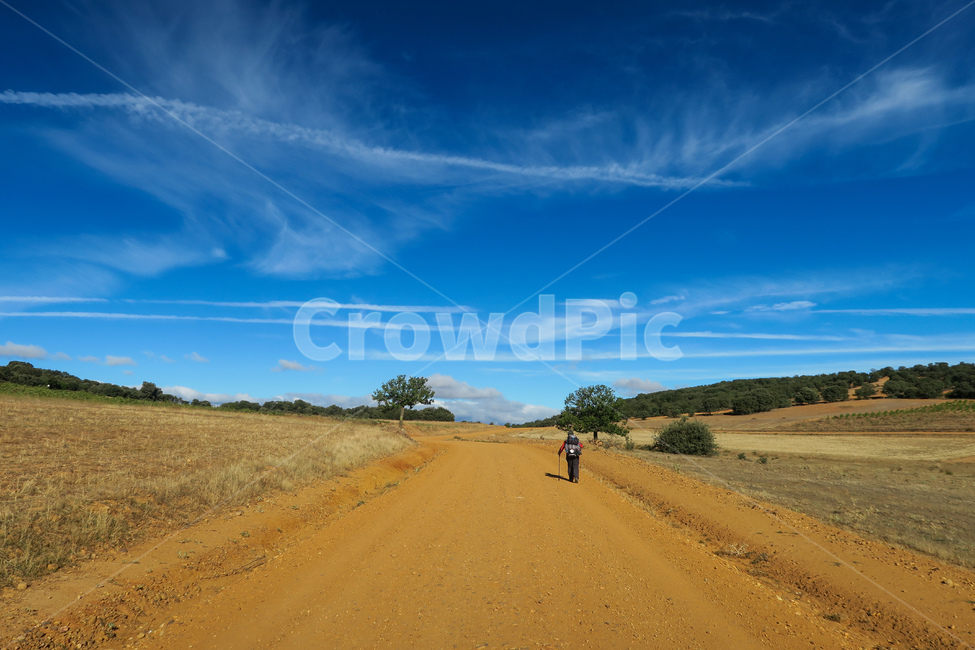 도로,gravel,자갈,인간,person,사람,human,outdoors,옥외,grassland,field,들,목초지,스페인,spain,españa,산티아고순례길,순례길,산티아고,순례,pilgrim,peregrino,caminodesantiago,camino,순례자,nature,자연,길,road,way,dirtroad,흙길,풍경,landscape,아스토르가가는길,아스토르가,aastorga,toastorga,자연,풍경,nature,landscape