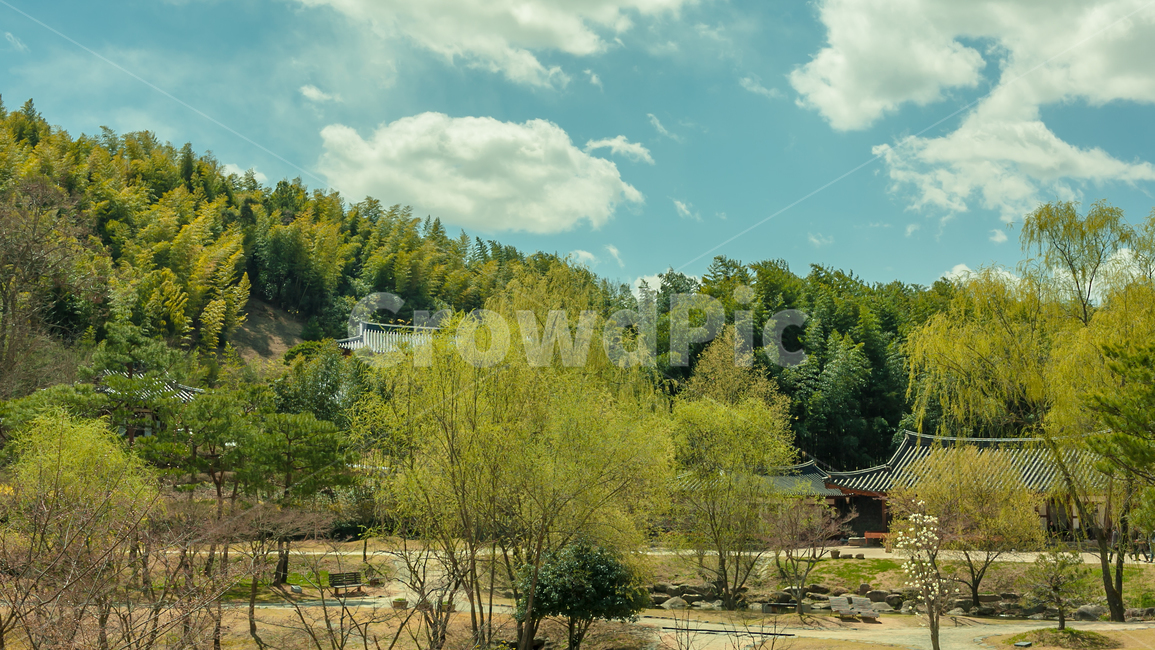 nature,자연,한옥,koreastyle,나무,녹색,green,architecture,공원,한국자연풍경,한국자연경관,korea nature landscape