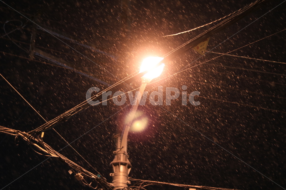 눈,밤,겨울,전봇대,함박눈,겨울,계절,winter,season,야경,밤,풍경,nightscape,night,landscape,flare,플레어,light,빛