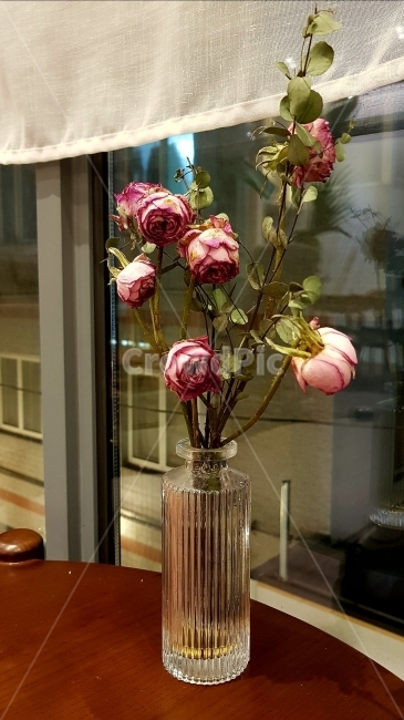 꽃,꽃병,장미,화분,인테리어,카페,실내,화초,flower,rose,식물,자연,plants,nature,꽃,flower,실내용화초,화분,화초,house plant,인테리어,실내디자인,interior design