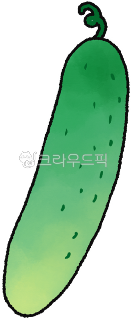 Cucumber,cucumber illustration,cucumber drawing,cucumber sticker,vegetable,sticker,vegetable,delicious vegetable,food,delicious,cucumber design,organic,farming,vegetarian,vegan,ingredients,health,crop,fresh