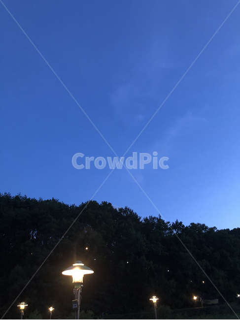 밤,가로등,자연,하늘,숲,자연,풍경,nature,landscape,야경,밤,nightscape,night