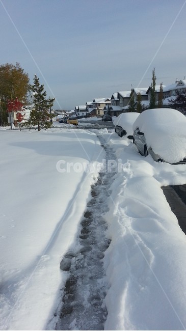 눈,겨울,길,폭설,많이,추운,소복히,쌓인,흰,하얀,자동차,지붕,snow,heavy,way,cold,white,car,gable