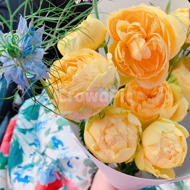 꽃다발,장미꽃다발,카탈레나장미,카탈레나,장미,봄꽃,노란장미,꽃,flower,기념일,축하,anniversary,congratulation,celebrate,celebration