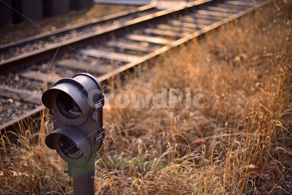 train track,traintrack,road,railway,train,traffic,old,parallel lines,rail,metal,tree,hollow,flatiron,sleeper,vintage,background,public transport,line,cracked,vehicle,rust,trace,perspective,Traffic Light,guide light,railroad,desolation,cross,retro,transpor