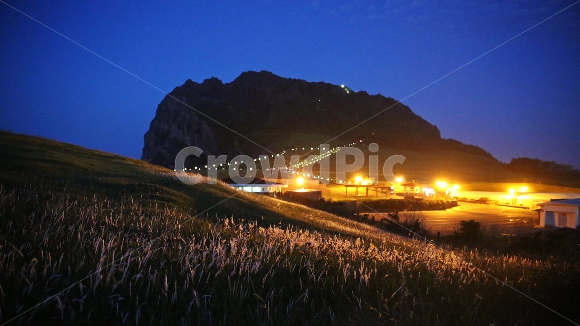 field,들,제주,성산야경,scenery,풍경,outdoors,옥외,nature,자연,landscape,경치,제주도,jeju,jeju island