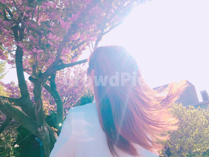 벚꽃,겹벚꽃,꼴,피크닉,민주공원,봄,계절,spring,season,사람,인물,인간,human,person,여성,여자,woman,female,lady,light,빛,flare,플레어