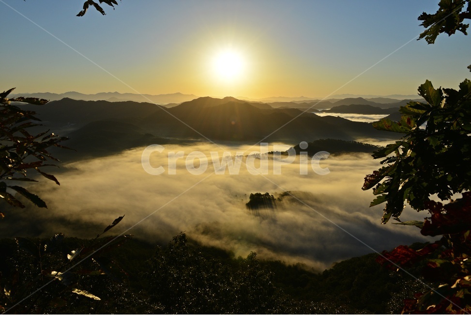 mountainrange,산맥,mountain,산,nature,자연,outdoors,옥외,weather,날씨,light,빛,flare,플레어,sunlight,햇빛,경치,경관,풍경,운해,임실,국사봉,국사봉운해,아침,여명,일출,해돋이,자연,풍경,nature,landscape