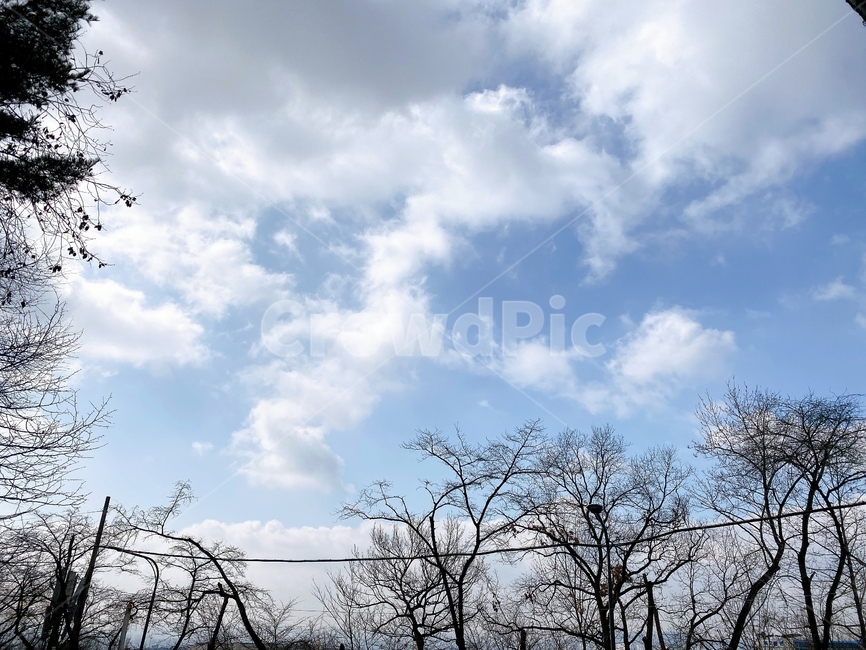 자연,nature,가을,계절,맑음