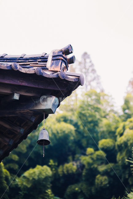 절,풍경,기와,숲,종,푸름,한국전통,한국문화,korean traditional,korean culture,건축물,건물외관,exterior,building,structure,architecture,construction