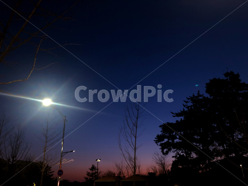 노을,해질녘,저녁,공원,light,빛,flare,nature,자연,나무