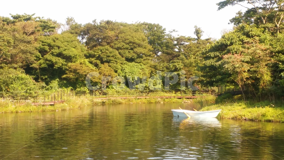 배,호수,자연,돛단배,강,자연,풍경,nature,landscape