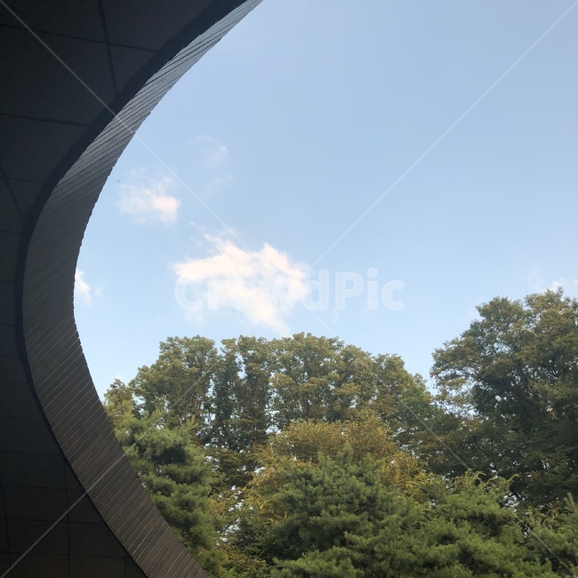 하늘,터널,가을,여름,맑음,구름,나무,단풍,한국