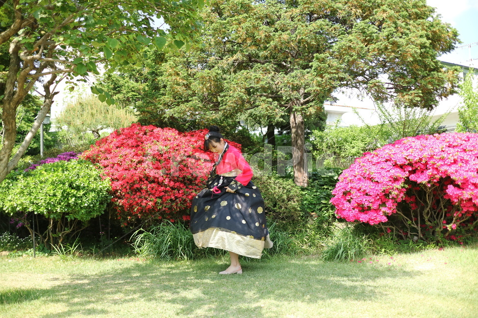 북촌한옥마을,한복,여자한복,빨간한복,옷,패션,옥외,마당,마당식물,정원,식물,garden,outdoors,화단,꽃,진달래,apparel,의복,clothing,의류,한복,한국전통의상,hanbok,korean traditional clothes