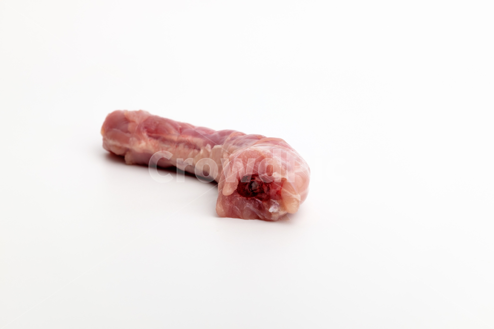 닭,생닭,손질된닭,닭목,재료,식재료,음식재료,요리,고기,닭고기,날것,식품,음식,클로즈업,식용,닭뼈,맛있는,기름진,고소한,담백한,단백질