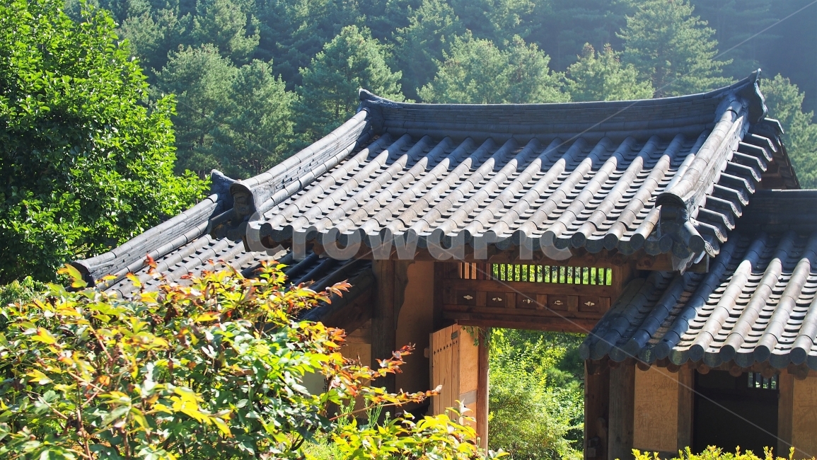 한옥,한국의미,전통가옥,숲,산,초록색,고전미,기와지붕,휴식,여행,풍경,자연,절,relax,travel,traditional,rest,고즈넉한,한국전통,한국문화,korean traditional,korean culture,건축물,건물외관,exterior,building,structure,architecture,construction
