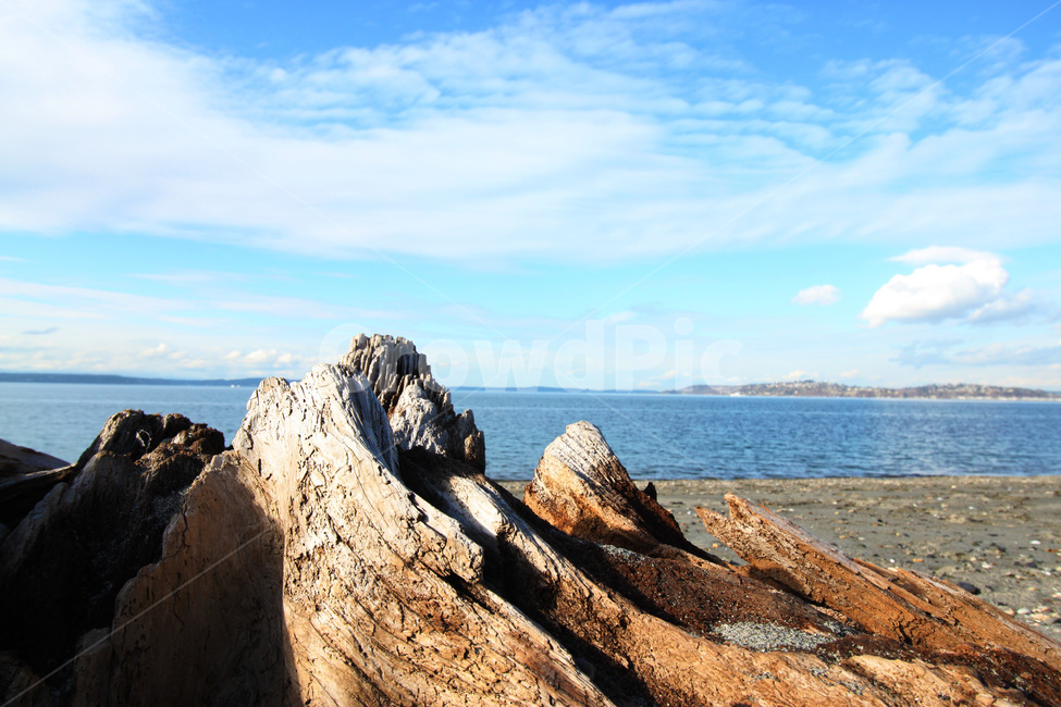 바닷가배경,자연,해변,배경사진,바다