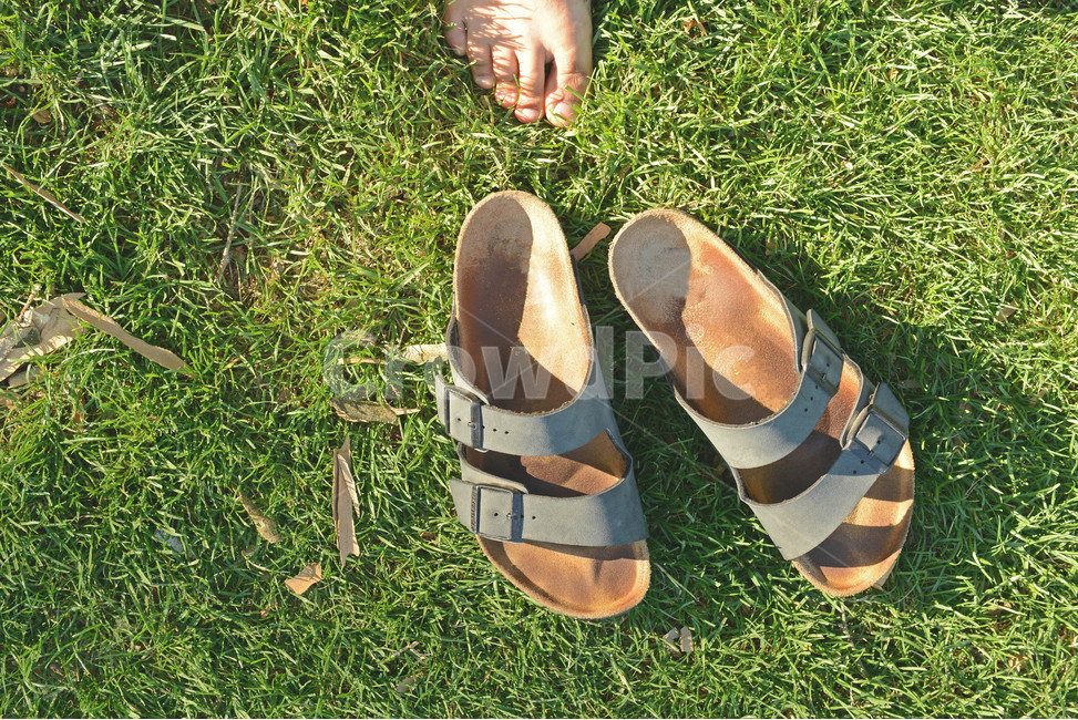 신발,샌들,잔디밭,발,여름,여름,계절,summer,season,sandal