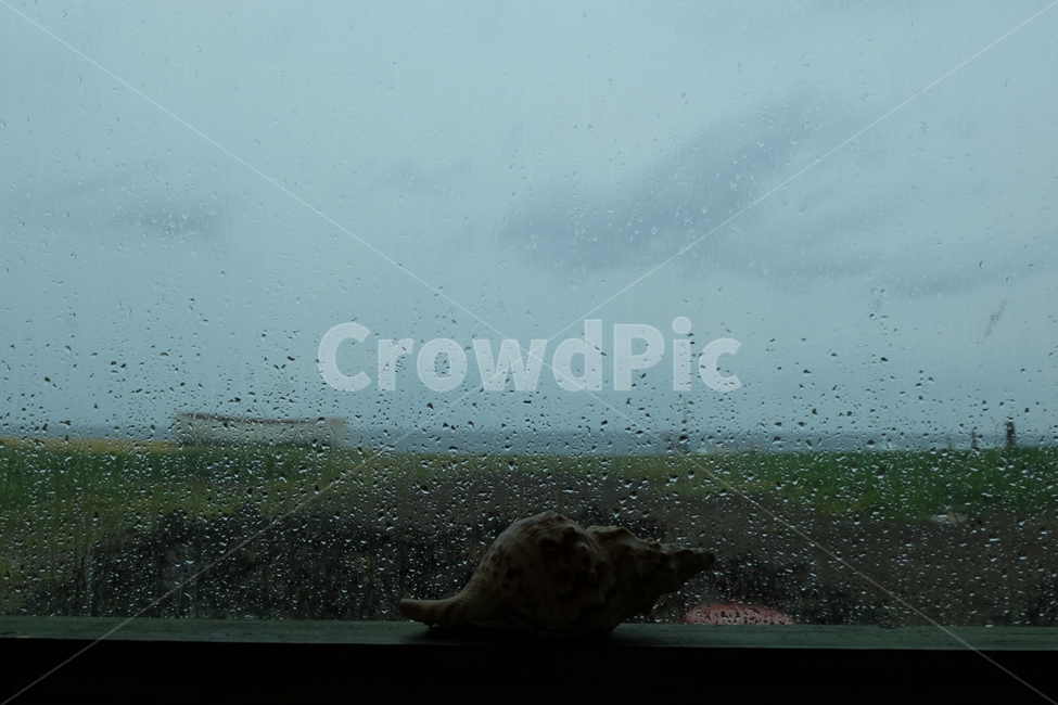 비,소라,창문,빗소리,창밖,비,비오는날,rain,rainy