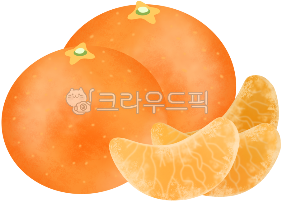 귤, 귤일러스트, 귤그림, 과일, 과일일러스트, 사진,이미지,일러스트,캘리그라피 - 해피쮸작가