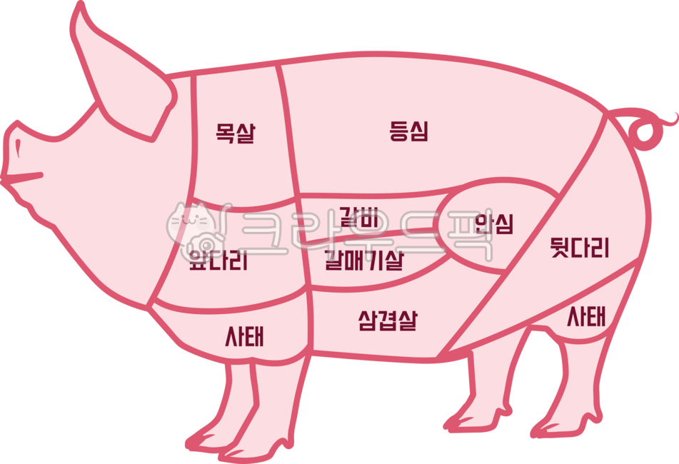 돼지부위별명칭,동물,돼지,돼지고기,돼지부위,애니멀,animal,pig,돼지고기부위,고기,동물일러스트,돼지일러스트,목살,등심,안심,사태,갈비,돼지고기이름,farm,가축,정육점,meat