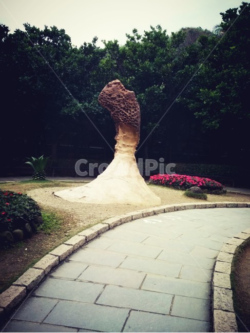 기암괴석,대만,예류,국립,공원,지질,암석,돌,stone,taiwan