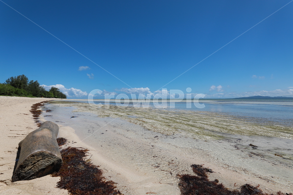 열대바다,샌드바,필리핀,휴가,동남아시아,자연,풍경,nature,landscape,해변,바다,beach,sea