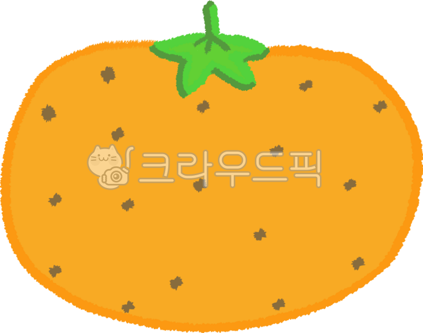 귤, tangerine, 과일, fruit, 감귤, 사진,이미지,일러스트,캘리그라피 - meiji38작가