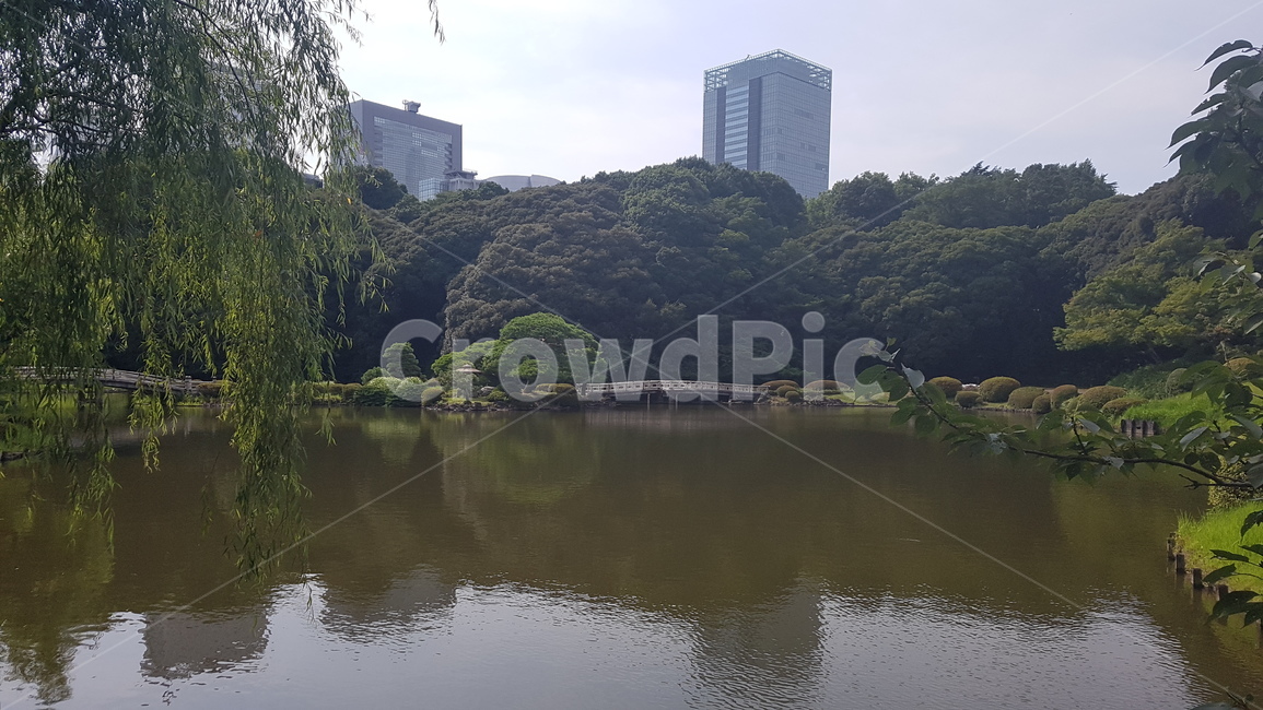 water,물,nature,자연,outdoors,옥외